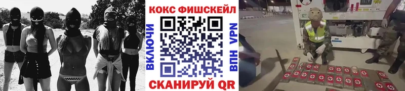 Cocaine VHQ  продажа наркотиков  Магас 