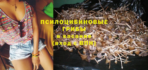 каннабис Белокуриха