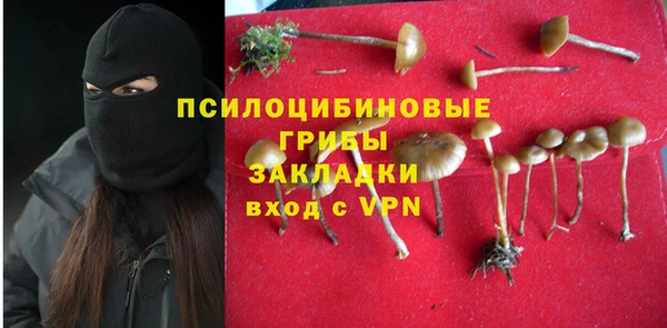 каннабис Белокуриха