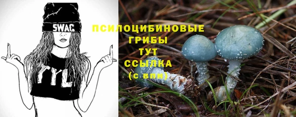 мдпв Покровск